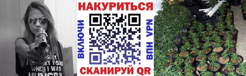 Бошки Шишки ГИДРОПОН  MEGA ссылки  Томск 